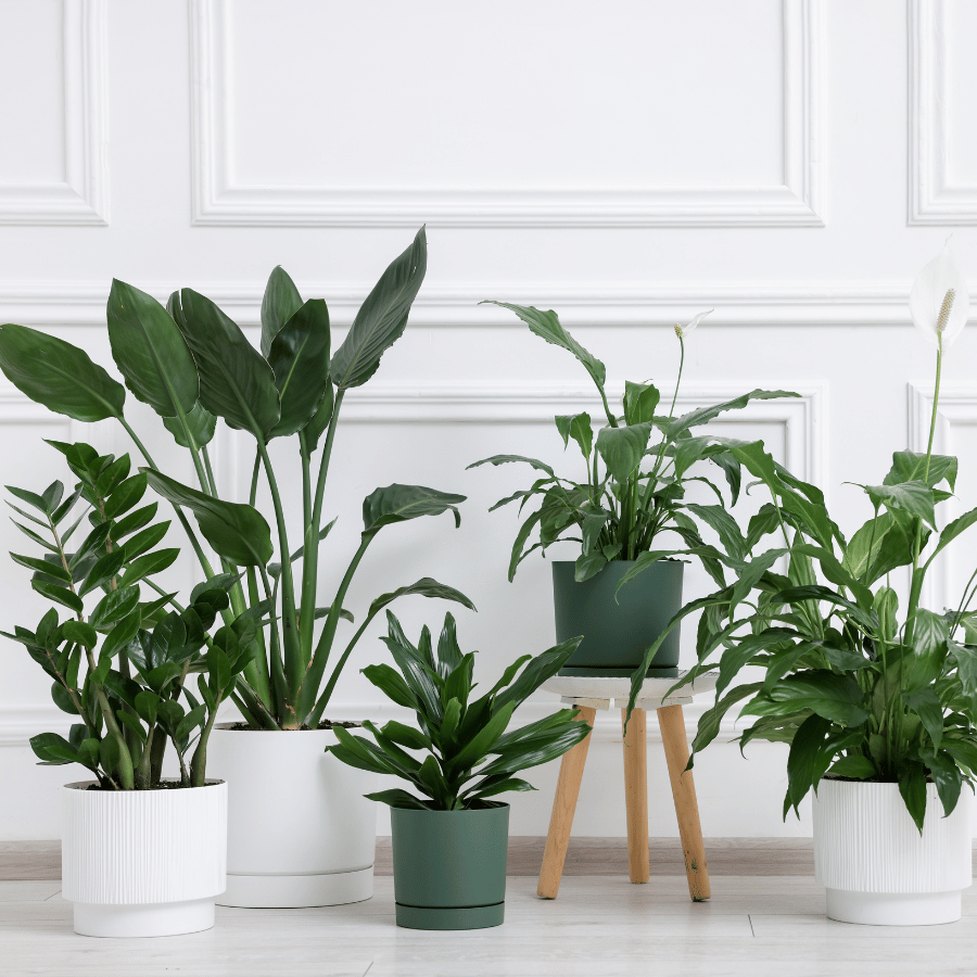 Gardening Accessories